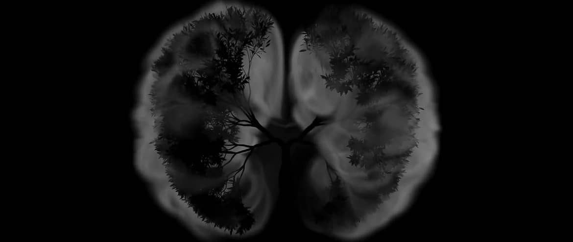 Twisted Roots Tree Co.